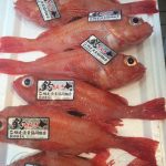 500gの釣りきんき鯛を仕入れましたよ〜(^◇^)|かず家