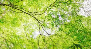 コミックマーケット91『ウタカゼ』サークルまとめ！