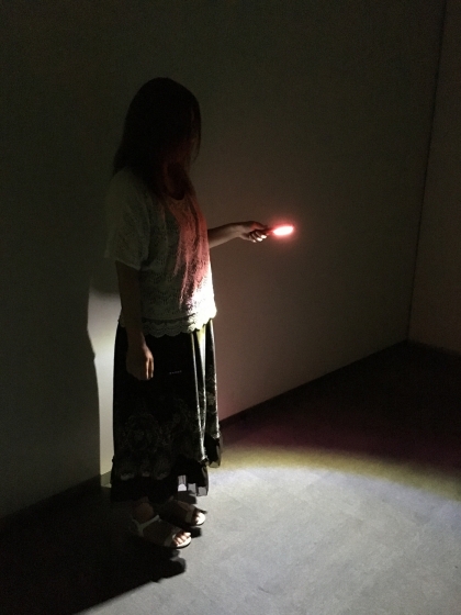 レビュア Revua 首塚プロダクション新作インセインシナリオ集 Dementsomiar